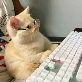 🤓
