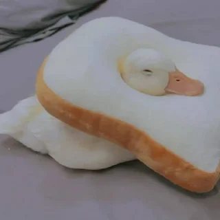😴