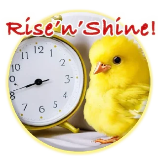 ⏰
