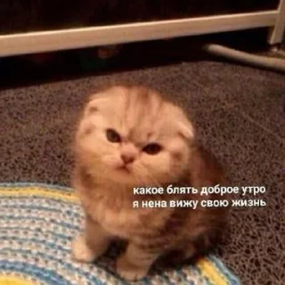 😄