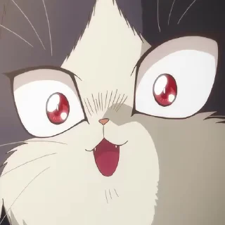 🥹