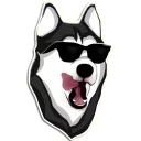 😎