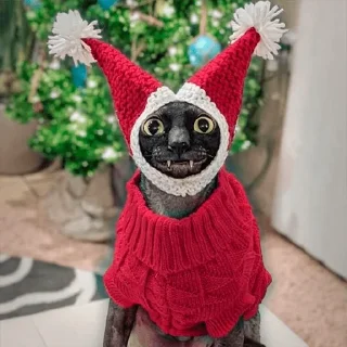 🎅