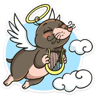 😇