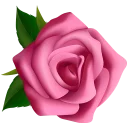 🌺