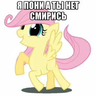🦄
