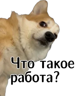 😬