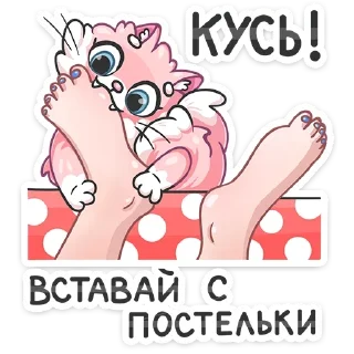 🛏️