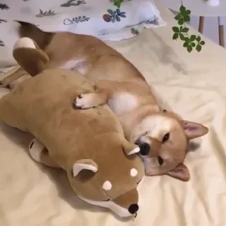 🤗