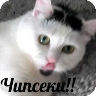 😮