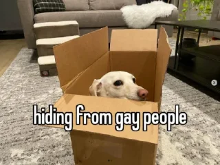 📦