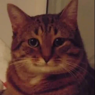 😌