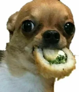 🍣