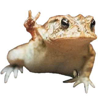 🐸