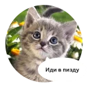 Злые зверята by @DGStickers