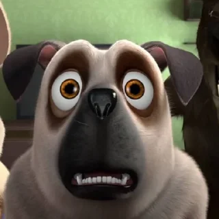 😳
