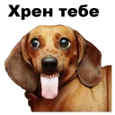 😝