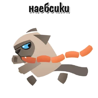 🐱