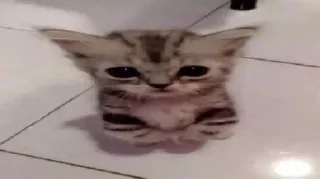 😃