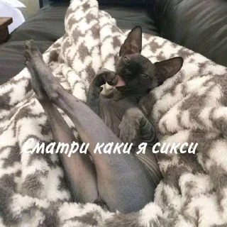 🥵
