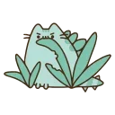 😺