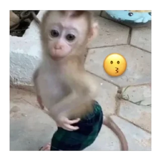 🫥