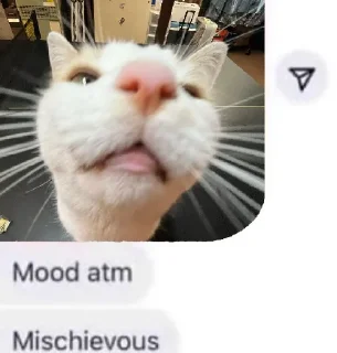 😈