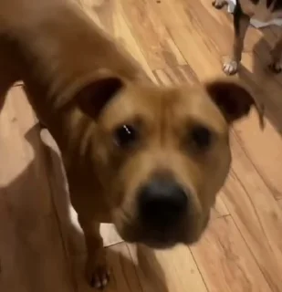😐