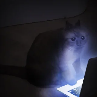 😳