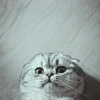 😒