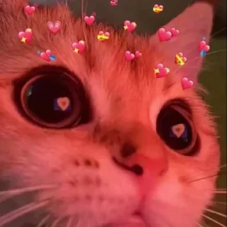 😍
