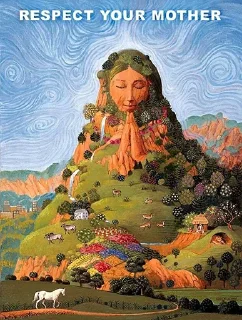 🌍