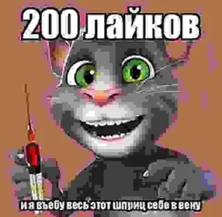 🌟