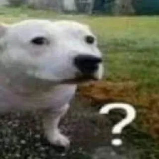 ❔