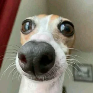 😳