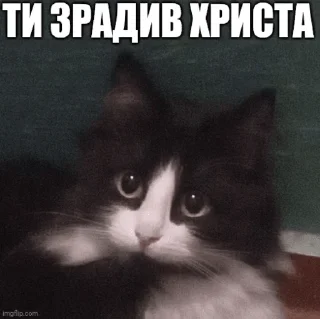 ✝