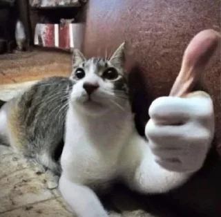🌟