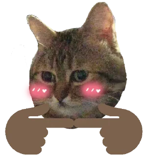 👉