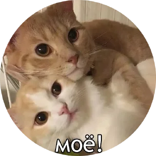 🥰