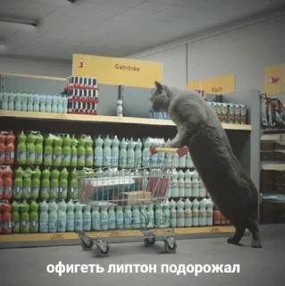 😓