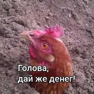 🙏