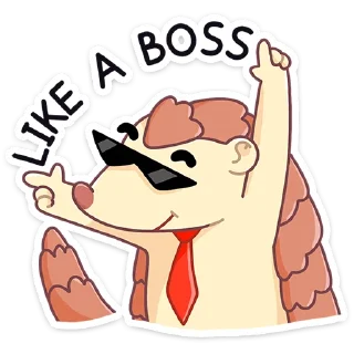 😎
