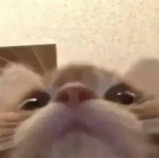 😳