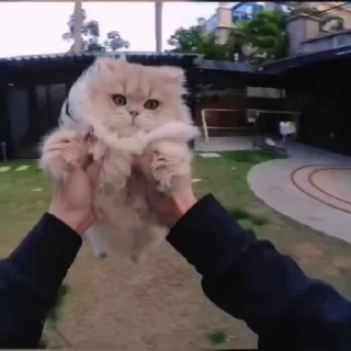 🤲