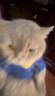 😡