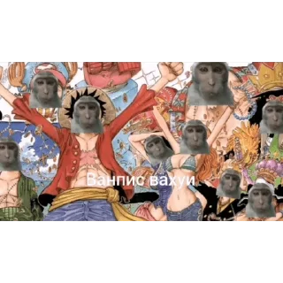 🐵