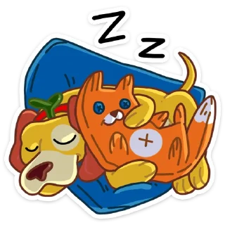 😴