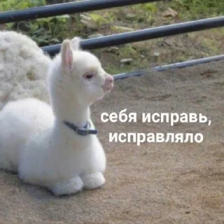 😠