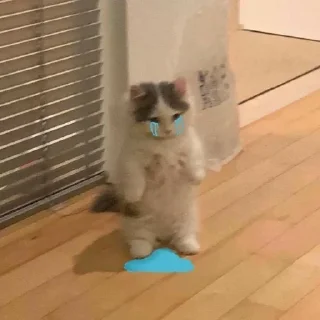 🎀
