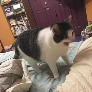 😵